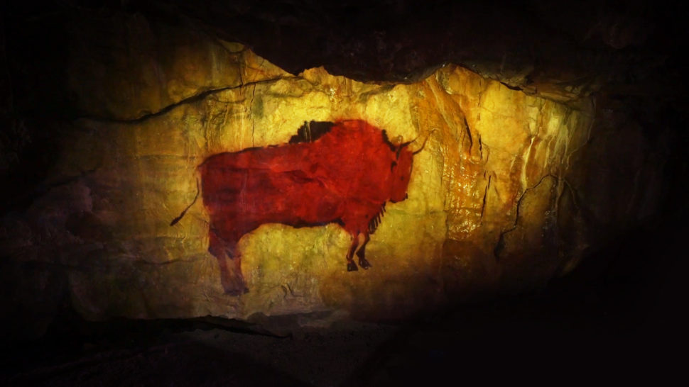 cave wilderbeast projection