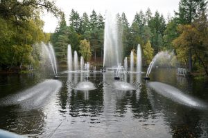 enchanted forest musical fountain lci scotland