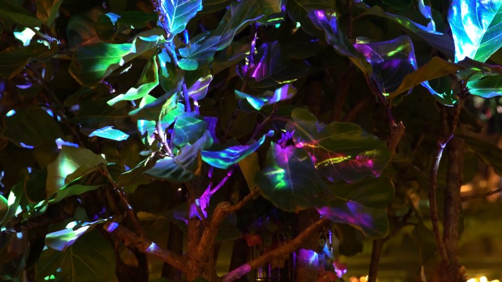 Annabels Magical Tree 360 Projection Mapping AR by LCI Productions