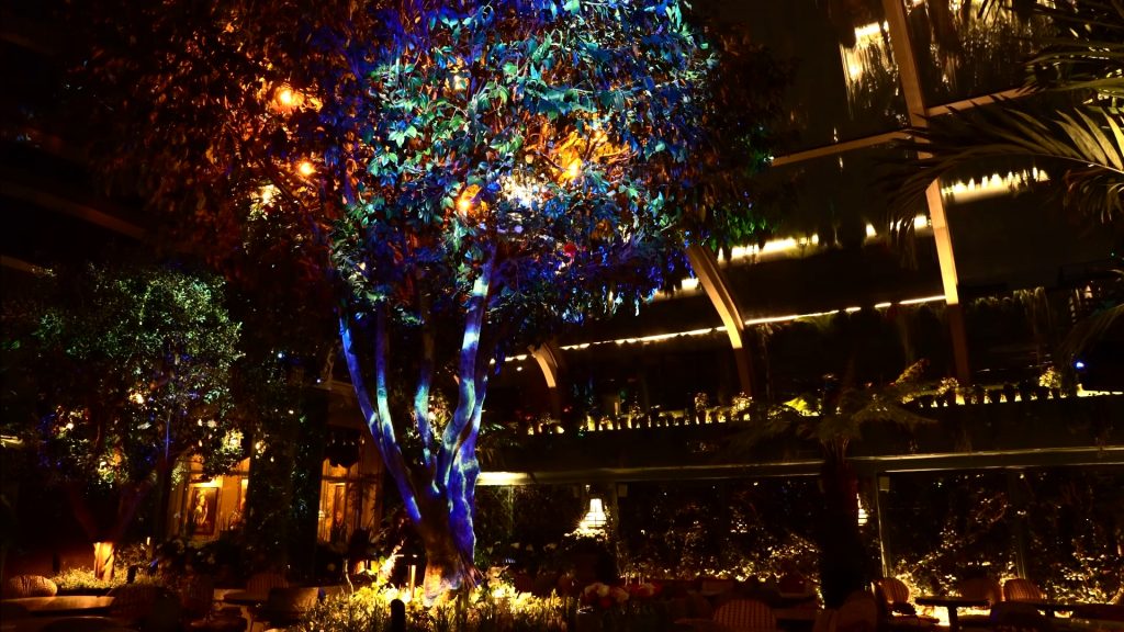 Annabels Magical Tree 360 Projection Mapping AR by LCI Productions