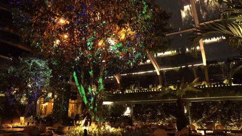 magical living augmented reality 360 projection mapped tree at annabel's club london by LCI Productions