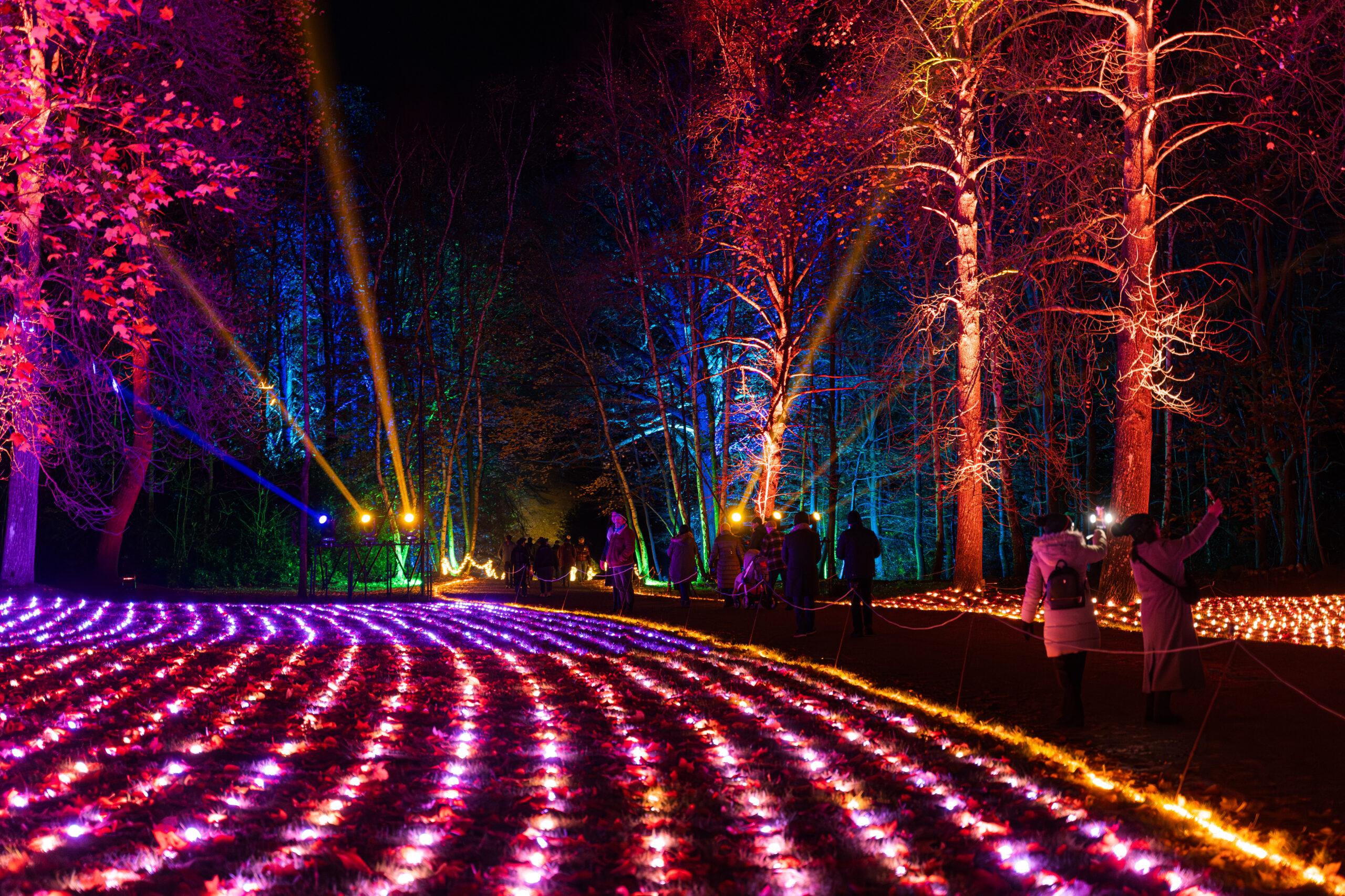 Light Trail Experiences