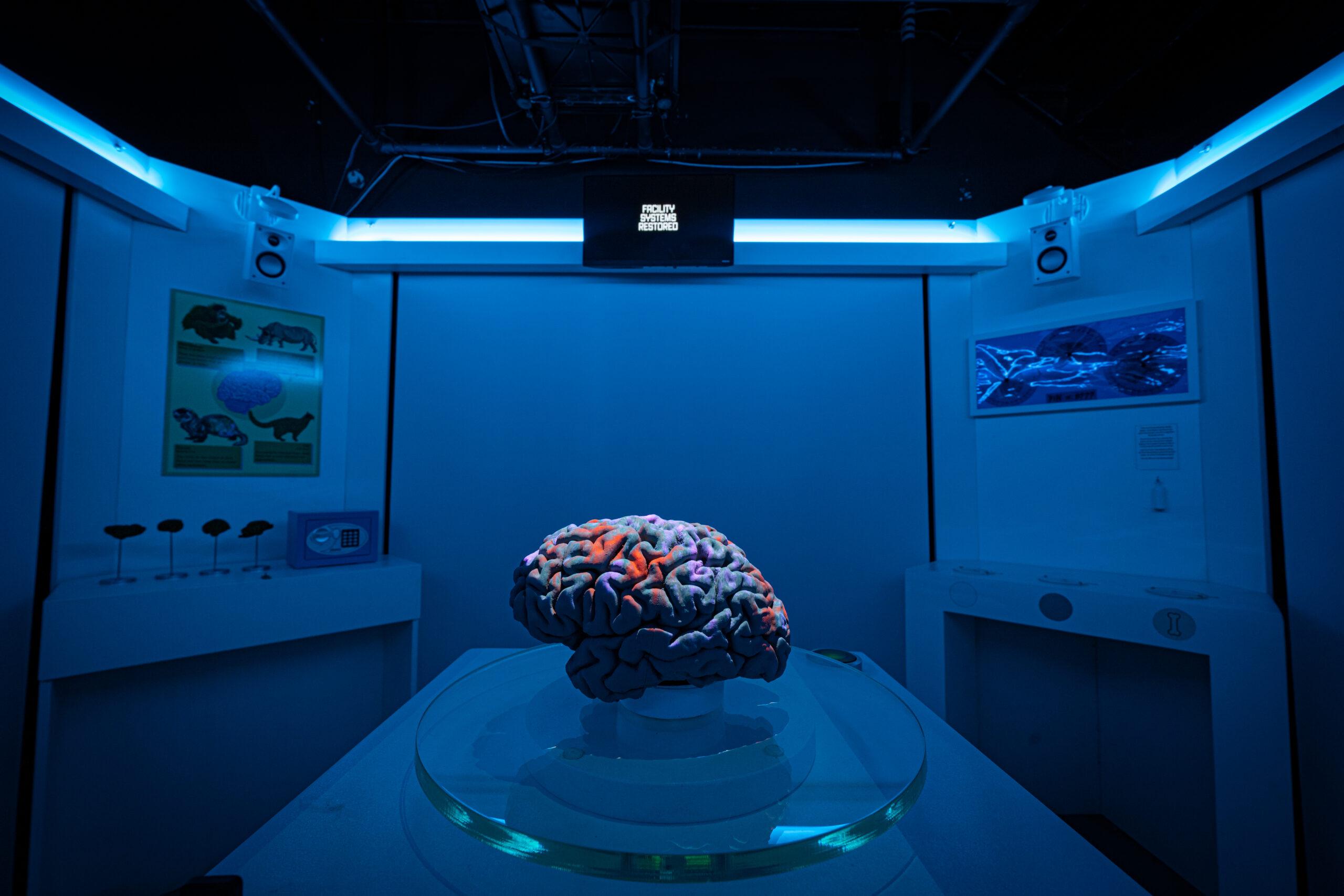 Oxford Escape Room Experience