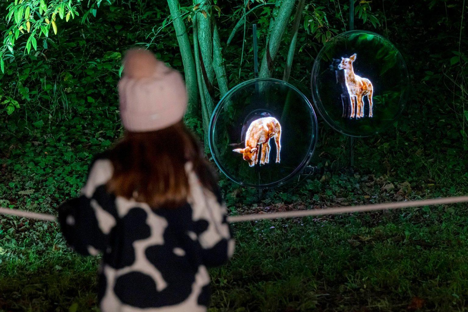 Lumieres En Seine Light Trail 