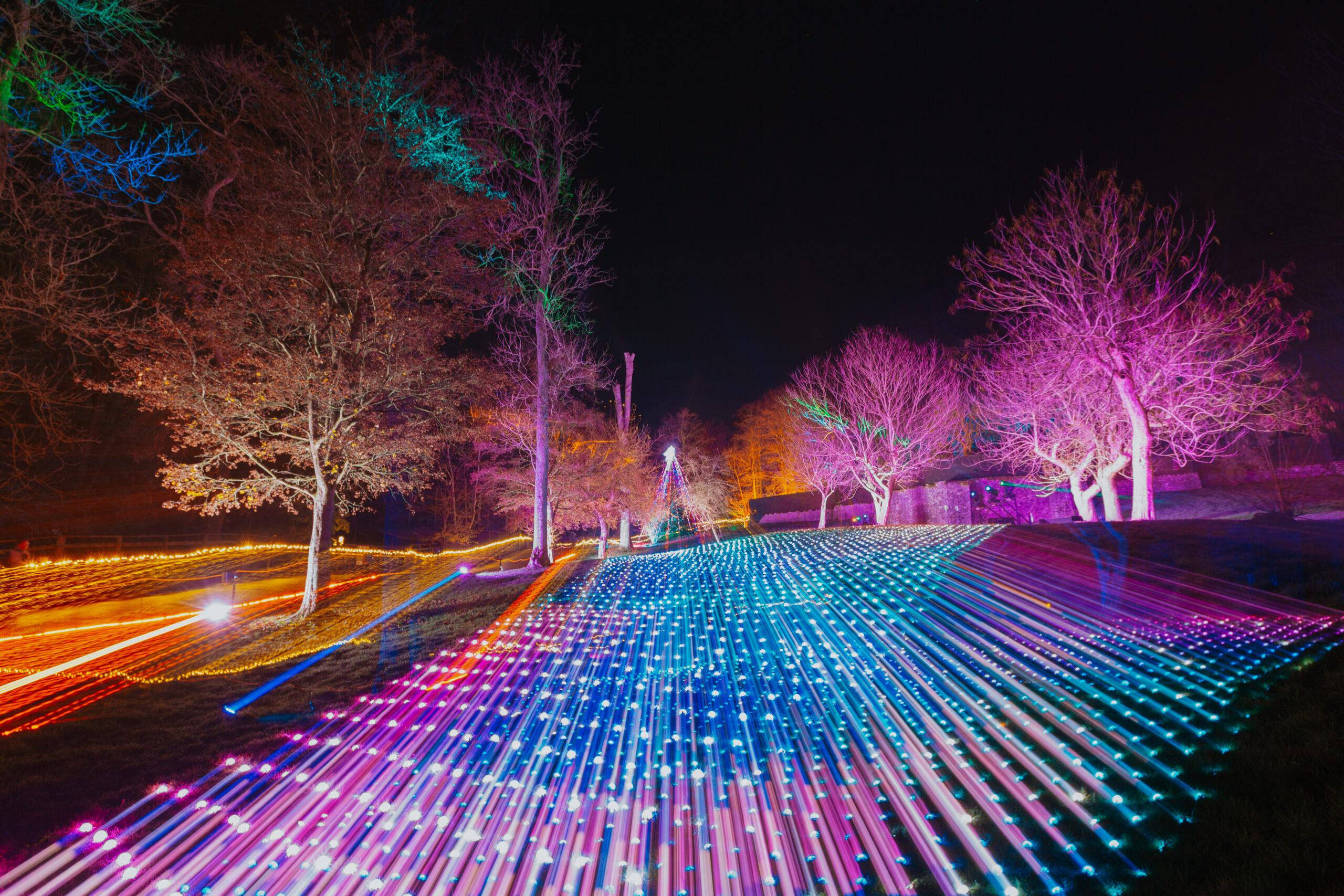 Port Lympne Illuminated